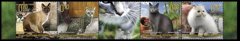 Bosnia ( Serbian ) year 2009 - Fauna - pets Cats full set MNH (**)