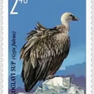 Bosnia year 2006 Fauna Birds - White headed Vulture full set