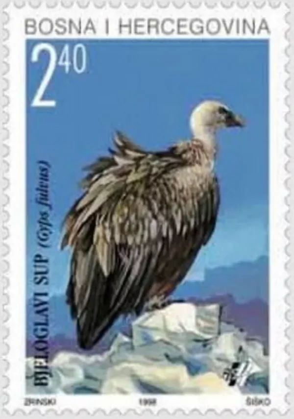 Bosnia year 2006 Fauna Birds - White headed Vulture full set