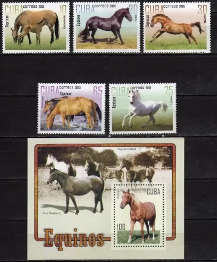 Cuba 2005 stamps Fauna Horses set MNH