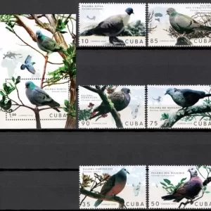 Cuba 2020 Fauna Pigeons postage stamps set