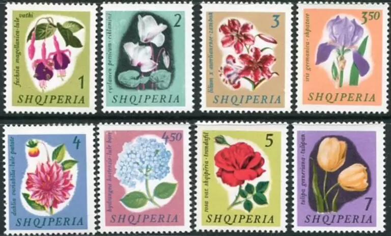 Albania 1965 Flora Flowers postage stamps set