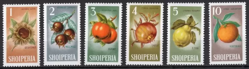 Albania 1965 Flora Winter Fruits postage stamps set