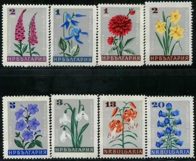 Bulgaria year 1966 Flora Flowers stamps set MNH