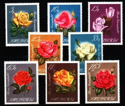 Albania 1967 Flora – Flowers Roses MNH stamps