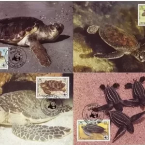 Anguilla year 1983 WWF - Sea turtles Max cards set