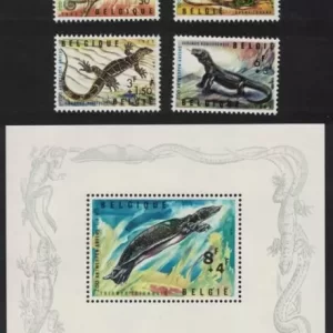 Belgium Fauna 1965 Turtle Reptiles of Antwerp Zoo postage stamps