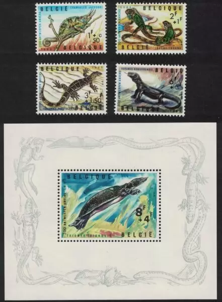 Belgium Fauna 1965 Turtle Reptiles of Antwerp Zoo postage stamps