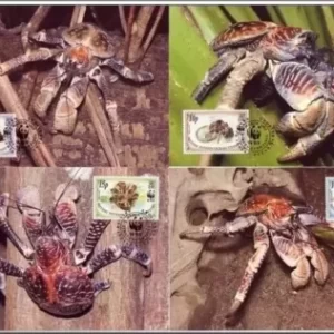 British Indian Ocean Territory 1993 WWF Coconut Crab max cards set