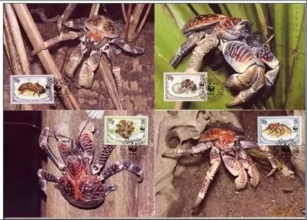 British Indian Ocean Territory 1993 WWF Coconut Crab max cards set