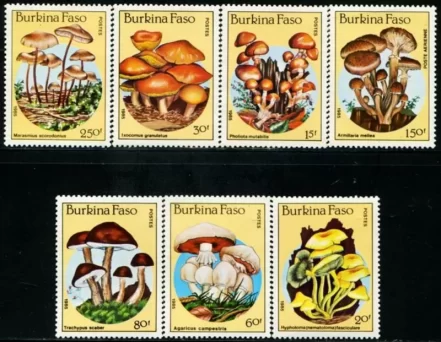 Burkina Faso 1985 Mushrooms – champignons postage stamps set