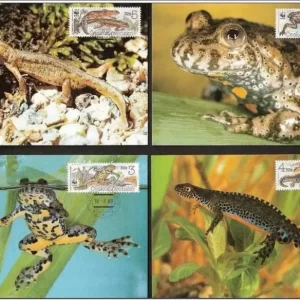 Czechoslovakia 1989 WWF Fauna Frogs Amphibians Max cards set