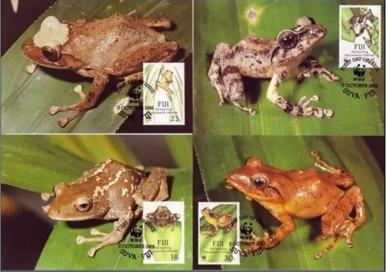 Fiji 1988 W.W.F. – Fauna Frogs Max cards set