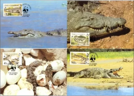 Gambia 1984 WWF Nile Crocodile max cards set