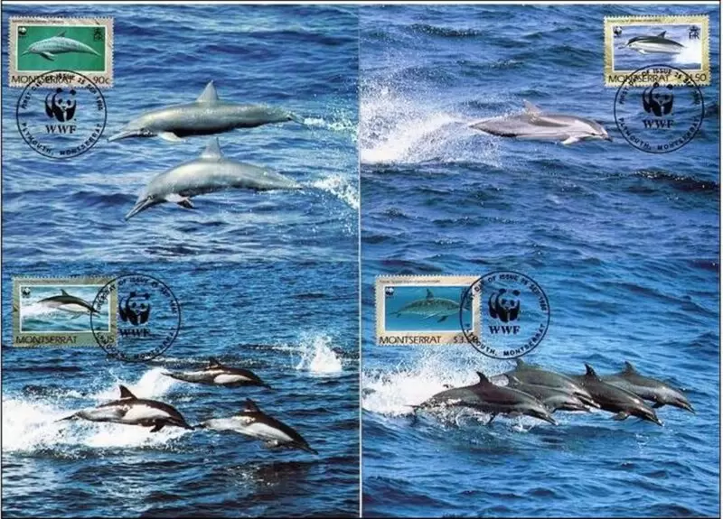 Montserrat year 1990 WWF – Dolphins max card set