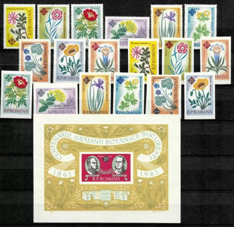 Romania year 1961 stamps Flora Flowers Complete set ☀ MNH**