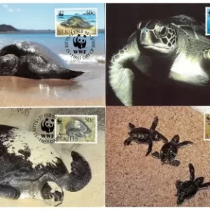 St. Kitts 1995 WWF – Fauna Green Sea Turtle Max cards set