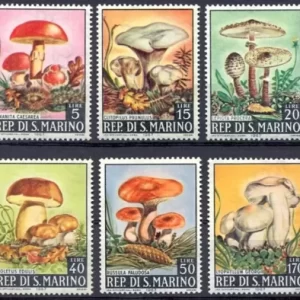 San Marino year 1967 stamps Flora - Edible Mushrooms MNH**