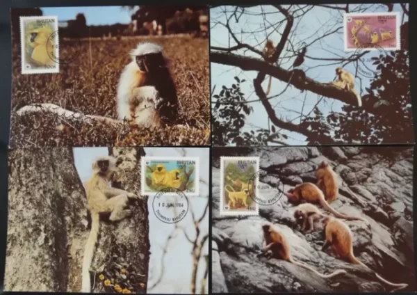 Bhutan 1984 WWF – Fauna Monkeys golden langur set Max cards