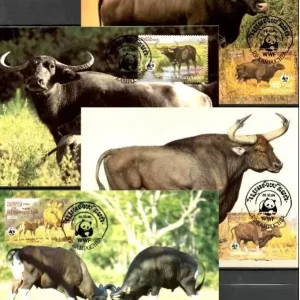 Cambodia Kampuchea 1986 WWF Cambodian Cattles MC stamps set