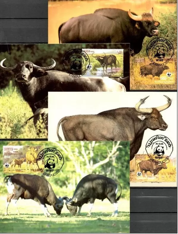 Cambodia Kampuchea 1986 WWF Cambodian Cattles MC stamps set