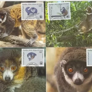 Comoros / Comores 1987 WWF – Fauna Monkeys Max cards stamps