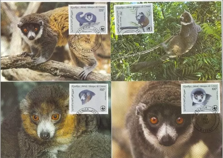 Comoros / Comores 1987 WWF – Fauna Monkeys Max cards stamps