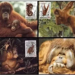 Indonesia 1989 W.W.F. – Fauna Monkeys