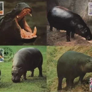 Liberia 1984 WWF / Mammals – Pygmy Hippopotamus MC stamps set