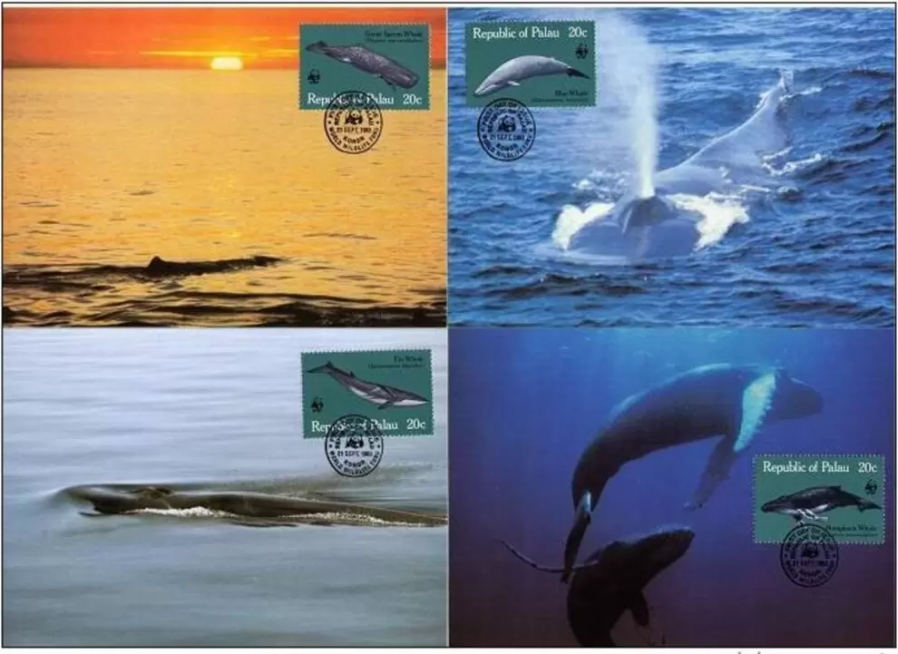 Palau year 1983 WWF Fauna Sea life / Whales Wale max card set