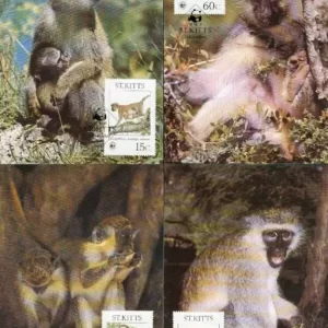 Saint Kitts 1986 WWF – Fauna Monkeys Max cards