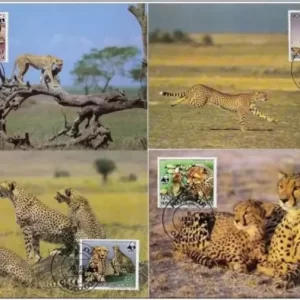 Upper Volta – 1984 WWF Big Cats / Cheetah, Gepard