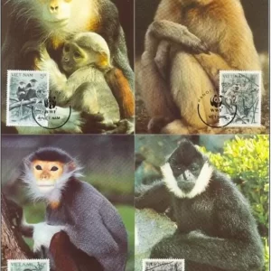 Vietnam 1987 WWF – Fauna Monkeys stamps max cards