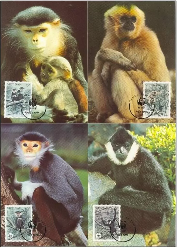 Vietnam 1987 WWF – Fauna Monkeys stamps max cards