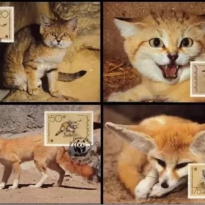 Yemen 1989 WWF Big Cats Desert Carnivores Fox