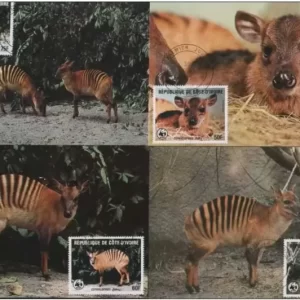 Ivory Coast 1985 WWF Fauna / Zebra Duiker Max card full set