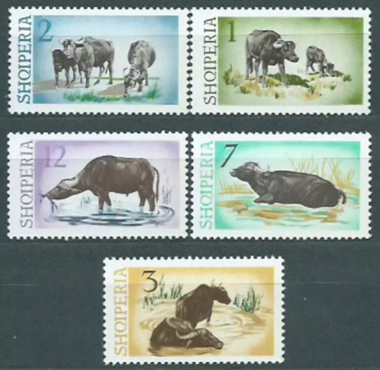 Albania 1965 Fauna / Water Buffalo MNH postage stamps