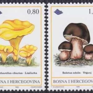 Bosnia ( Sarajevo ) year 1998 Edible Mushrooms stamps set MNH