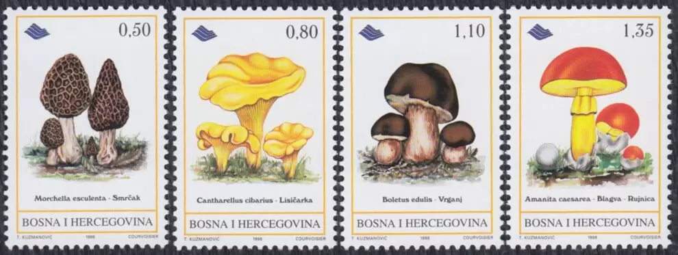 Bosnia ( Sarajevo ) year 1998 Edible Mushrooms stamps set MNH