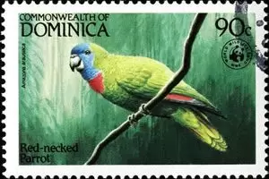 Fauna / Animals Postage Stamps