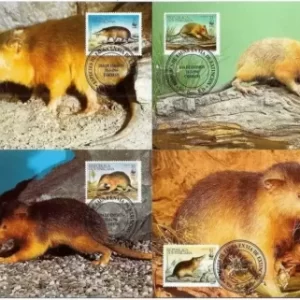 Republica Dominicana 1994 Fauna Rodents – WWF Hispaniolan Solenodon MC set