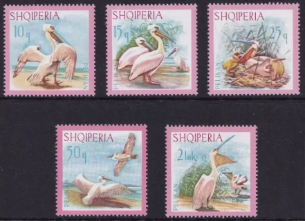 Albania year 1967 stamps WWF - Birds - Dalmatian Pelican full set ☀ Mint never hinged (**)