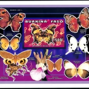 Burkina Faso year 1996 stamp - Insects Butterflies MSS ☀ MNH**