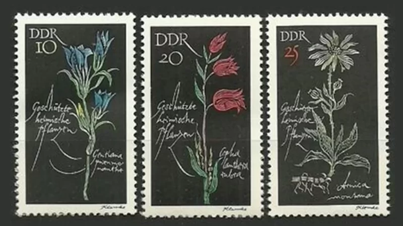 DDR Germany Stamps year 1966 stamps Protected Flowers MNH**