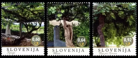 Slovenia year 2014 stamps - Flora / Fruits Wine Grapes complete set MNH**