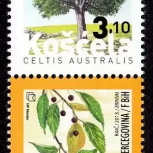 Bosnia 2013 Flora Plants European nettle tree postage stamps set