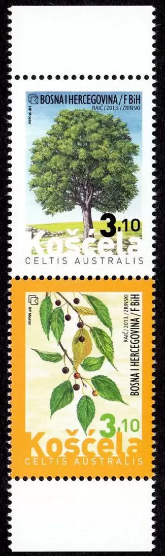 Bosnia 2013 Flora Plants European nettle tree postage stamps set