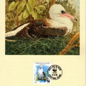 Christmas Island 1990 World Wildlife Fund / Birds Abbott´s Booby FD Card