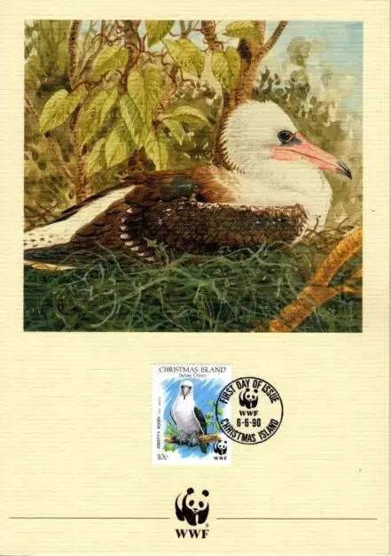 Christmas Island 1990 World Wildlife Fund / Birds Abbott´s Booby FD Card