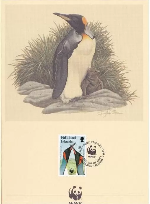 Falkland Islands 1991 WWF World Wildlife Fund / Birds King Penguin FD Card